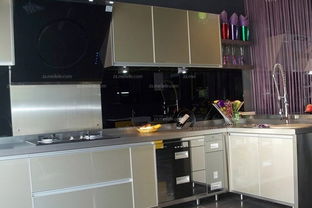 最新不锈钢厨具品牌排行榜